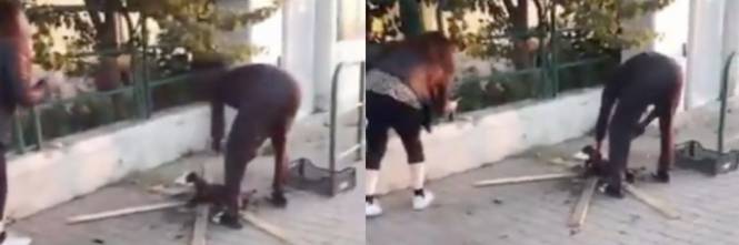 Un imigrant a fript o pisică într-o gară din Italia, în văzul tuturor