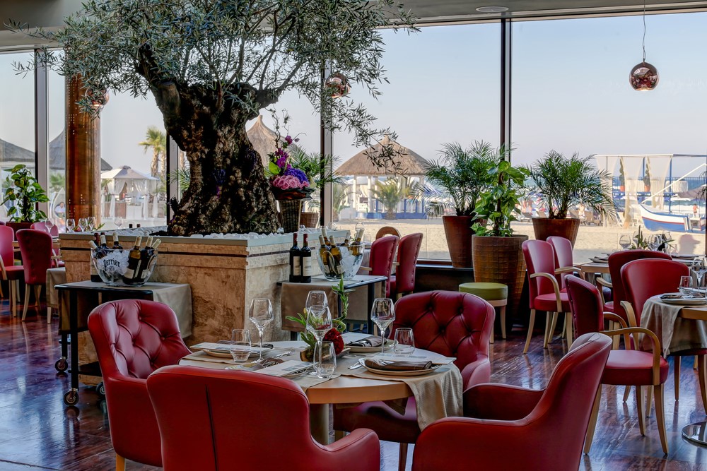 Patronii din turism, acuzații incredibile pentru Guvern! Vor proces...