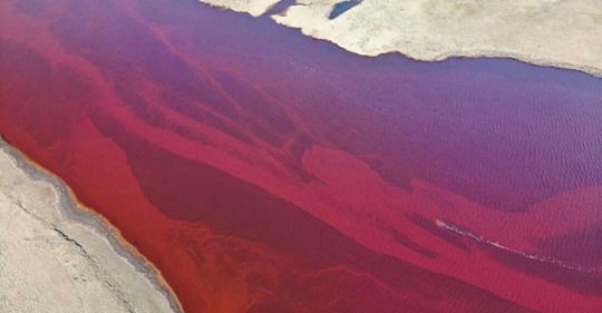 Dezastrul ecologic din Norilsk. Putin a acceptat cine va plăti