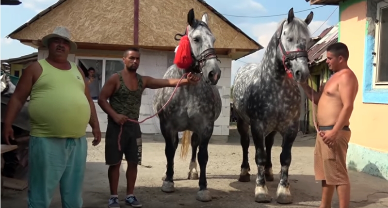 Mărturiile ”sclavilor” din Maramureș! ”Mi-au rupt mâna cu o furcă”