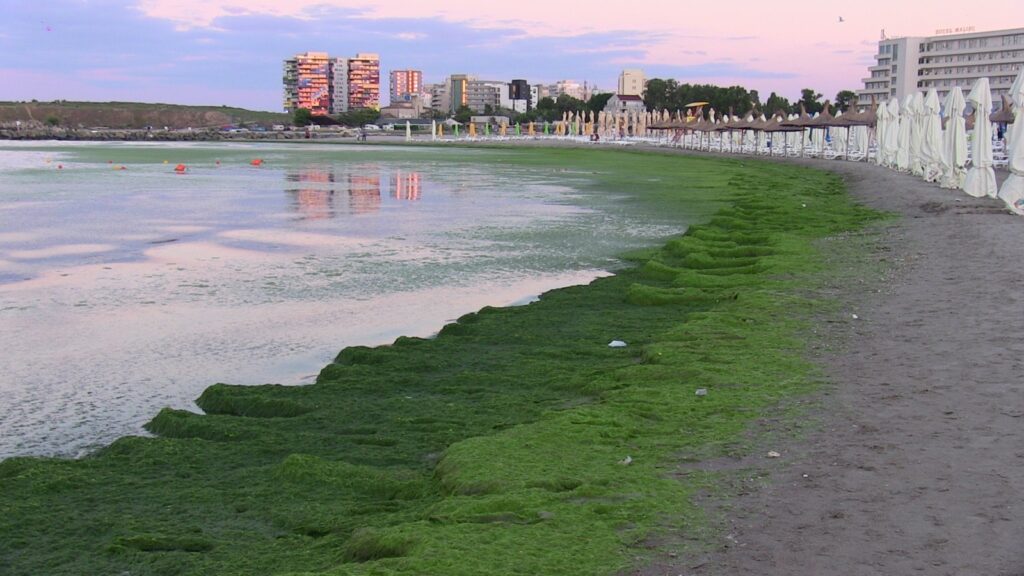Probleme pe litoralul românesc. O celebră stațiune, ocolită din cauza mizeriei