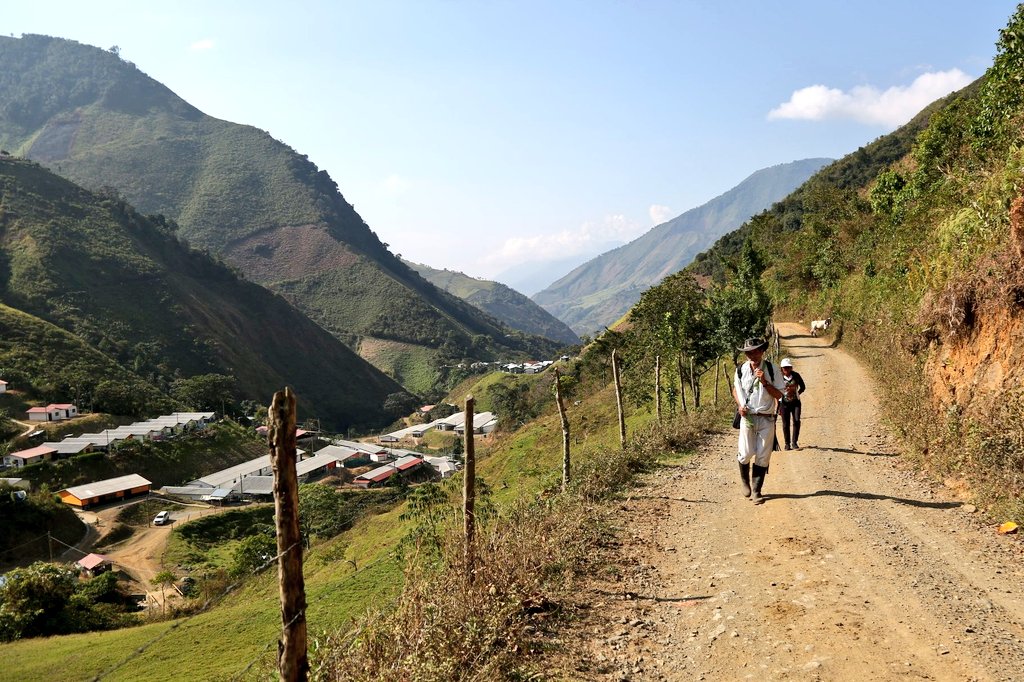 Cartelurile columbiene sprijină restricțiile Covid-19 impuse de guvern! Cu armele...