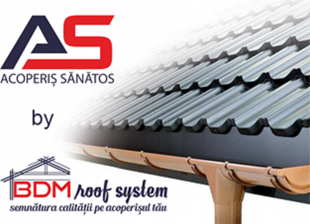 De ce izolarea a adus vanzari mai mari de tigla metalica celor de la BDM Roof System? (P)