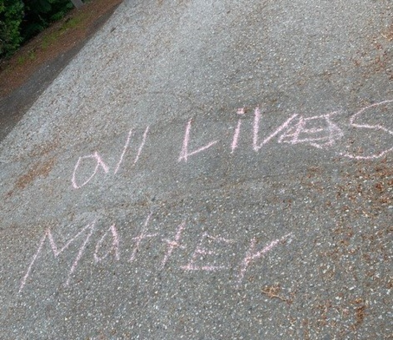 Cum ni se pune Pumnul în Gură în numele Democrației