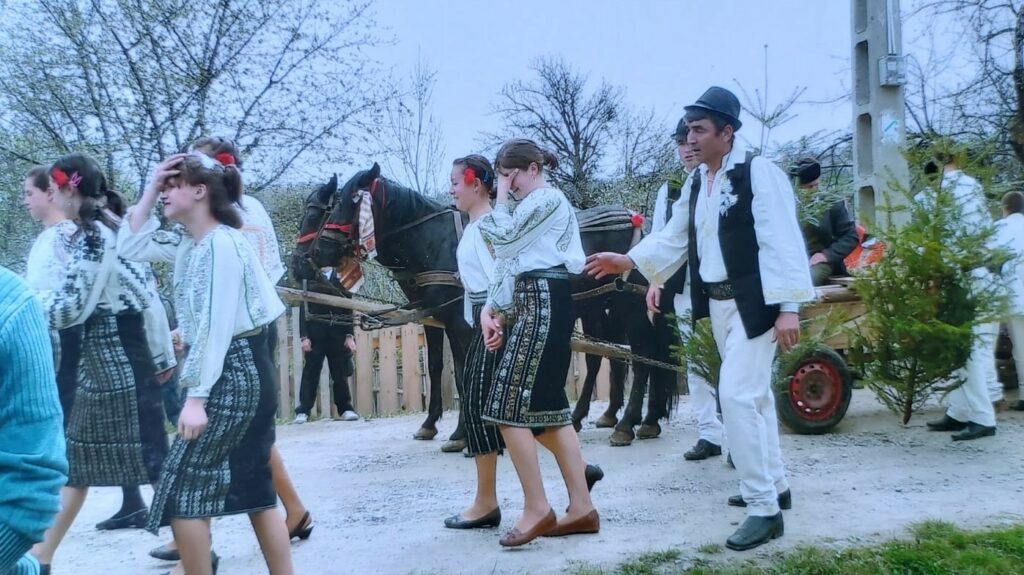 Baba în rochie de mireasă, colăcarul, vornicelul sau crainicul. Ce am avut și ce am pierdut