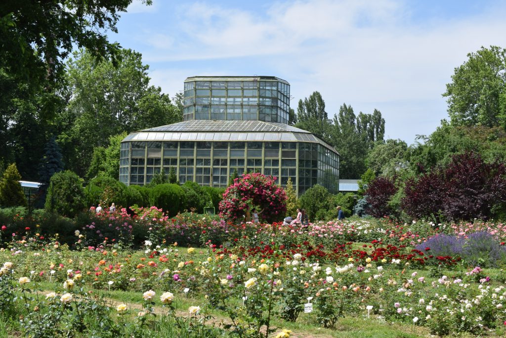 Serele i le-au bombardat nemții, dar ne-a rămas de la el Grădina Botanică