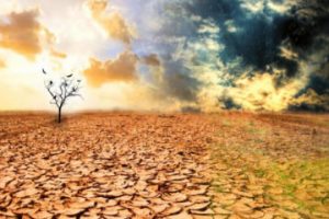 Mega-secetă de 1000 de ani. Dispariția unor civilizații