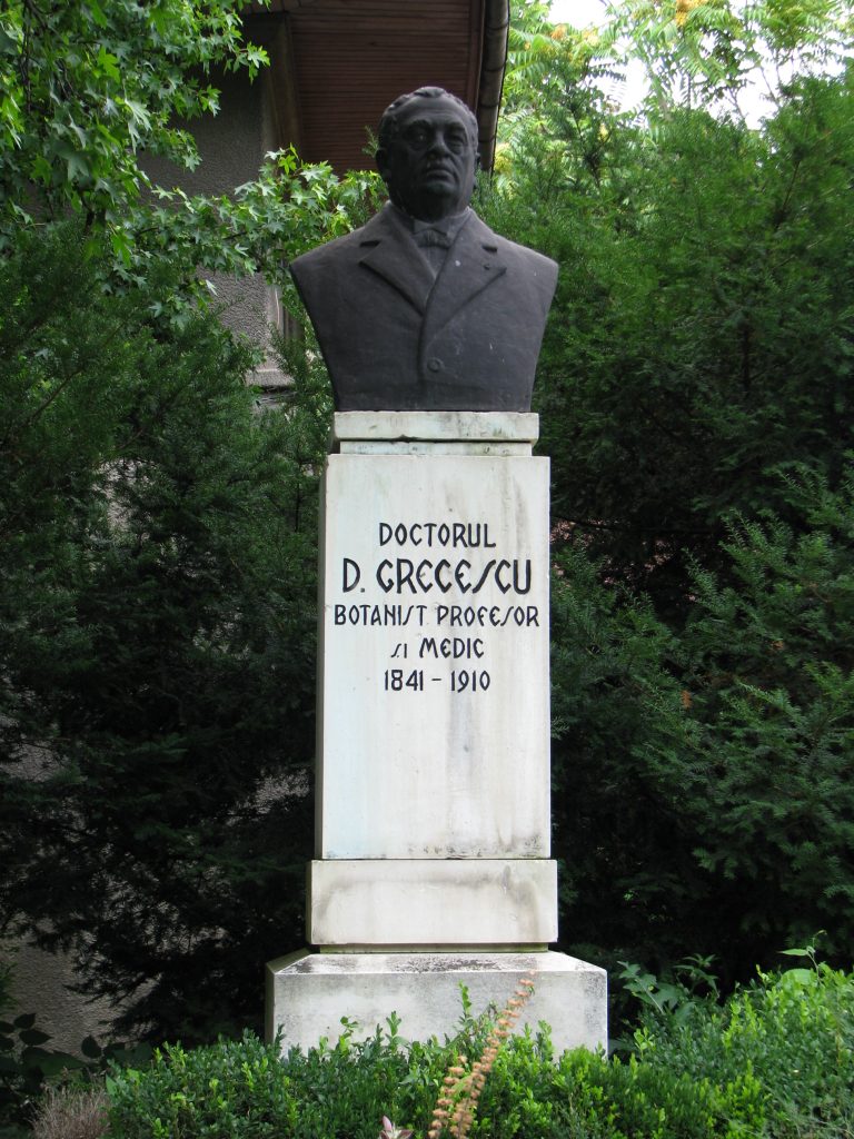 Carol Davila face o descoperire de excepție într-o prăvălie din Severin