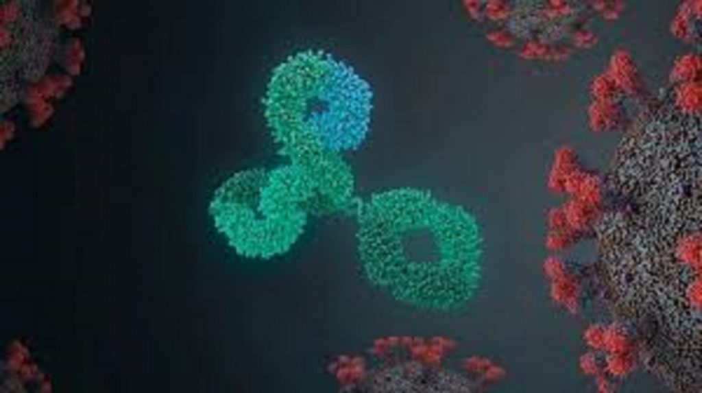 Important. Ce trebuie să știm despre imunitate şi cât rezistă anticorpii COVID după vaccinare