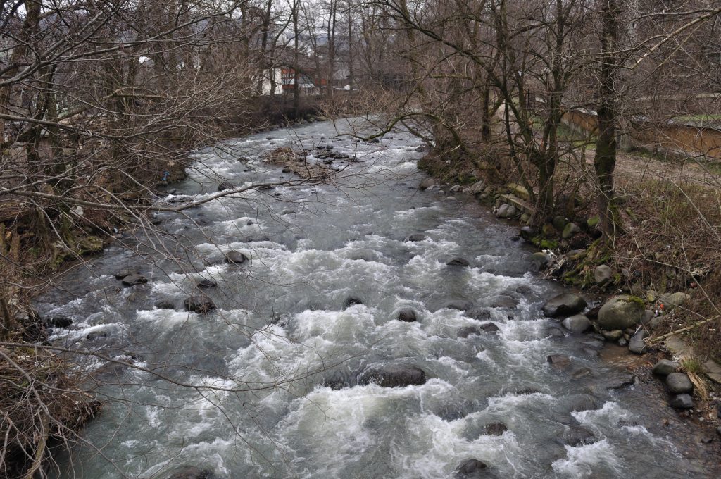 Tragedie în fruntea IPJ de Anul Nou. Trupul i-a fost găsit fără suflare