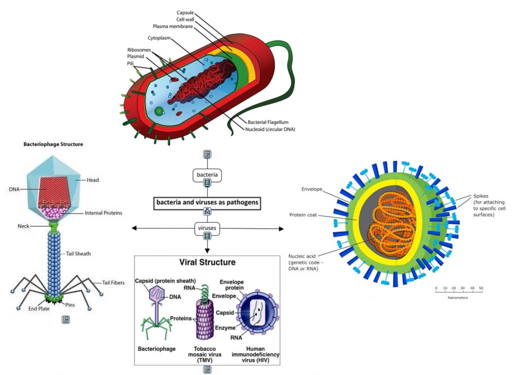 Ucide 99,99% din virusuri și bacterii. Poate opri molimele?