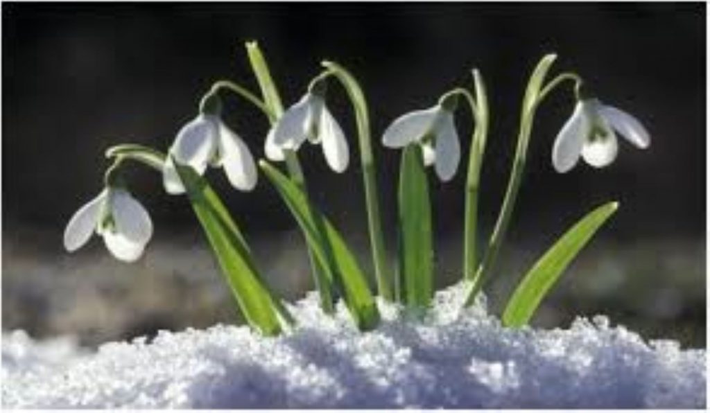 Prognoza meteo, 16 februarie. Astăzi se vor înregistra temperaturi neobișnuite pentru această perioadă