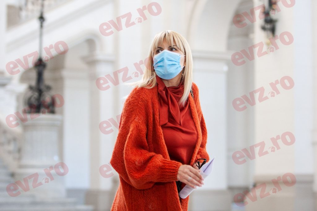 Elena Udrea vrea să se facă dreptate. Un nou proces împotriva Liei Stanca privind proiectul său de suflet
