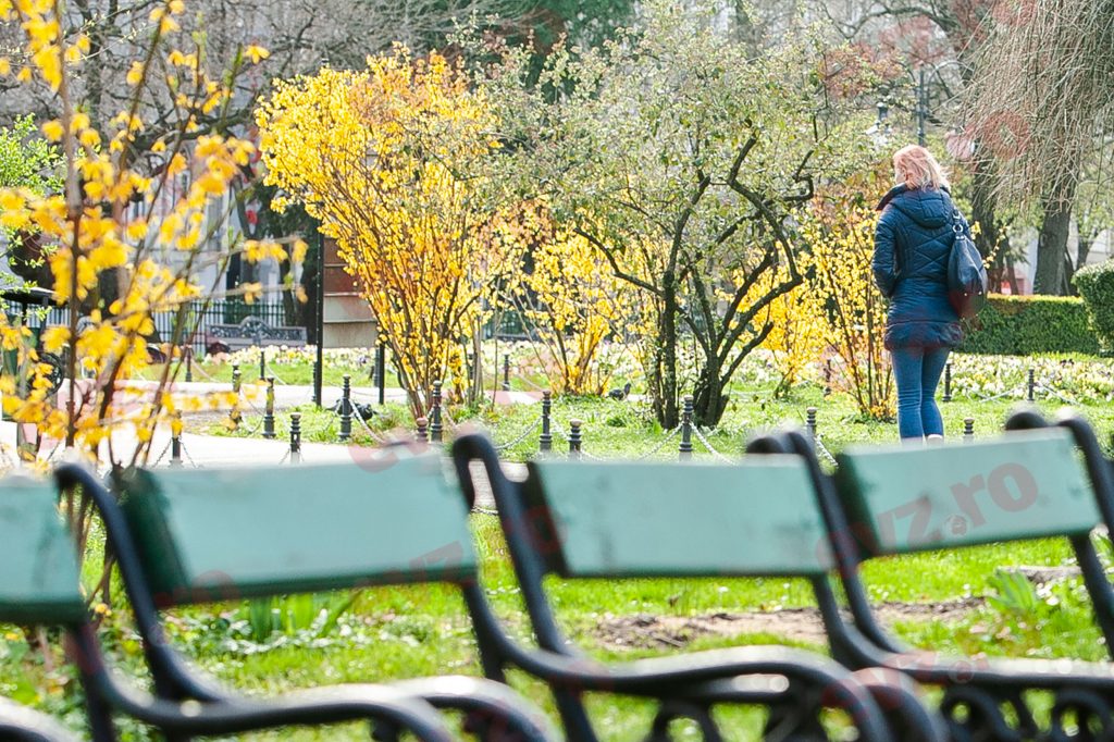 Prognoza meteo, 31 martie. Vremea ne face surprize mari. Cele mai recente date de la ANM