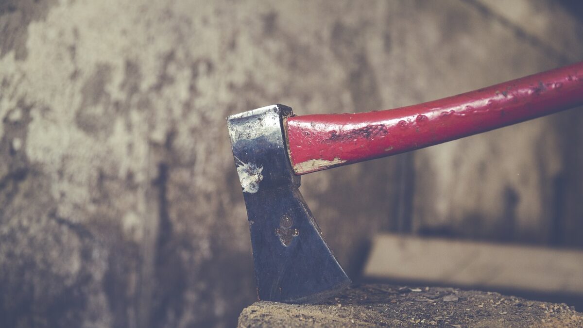 Extremiști de România. Un fan al Dianei Șoșoacă amenință cu toporul. „Aia de la servicii”