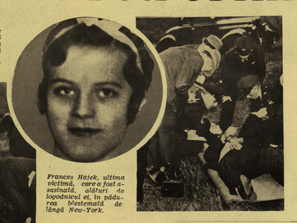 Crimele care au dus la dispariția pădurii Queens din New York