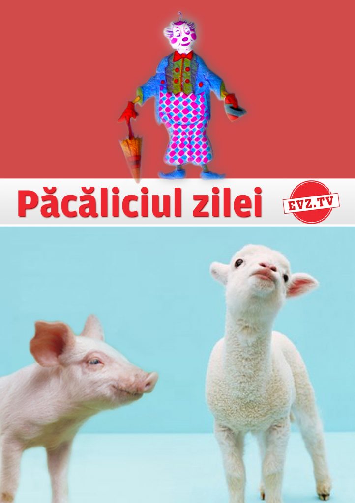 Păcăliciul Zilei. Păcălicele vegane. De la Crăciun, la Paști