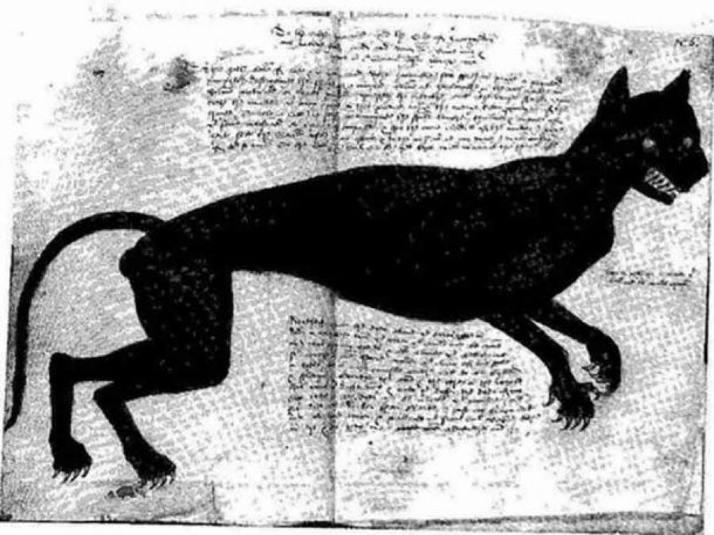 Agnes Bowker, zisă Mama monștrilor, naște o pisică