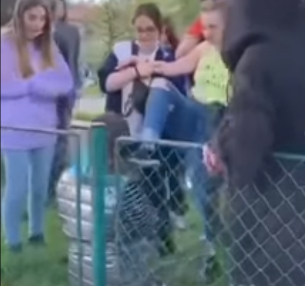 Fetiță bătută cu bestialitate la Brașov. Ceilalți copii au făcut cerc și au filmat totul. Video