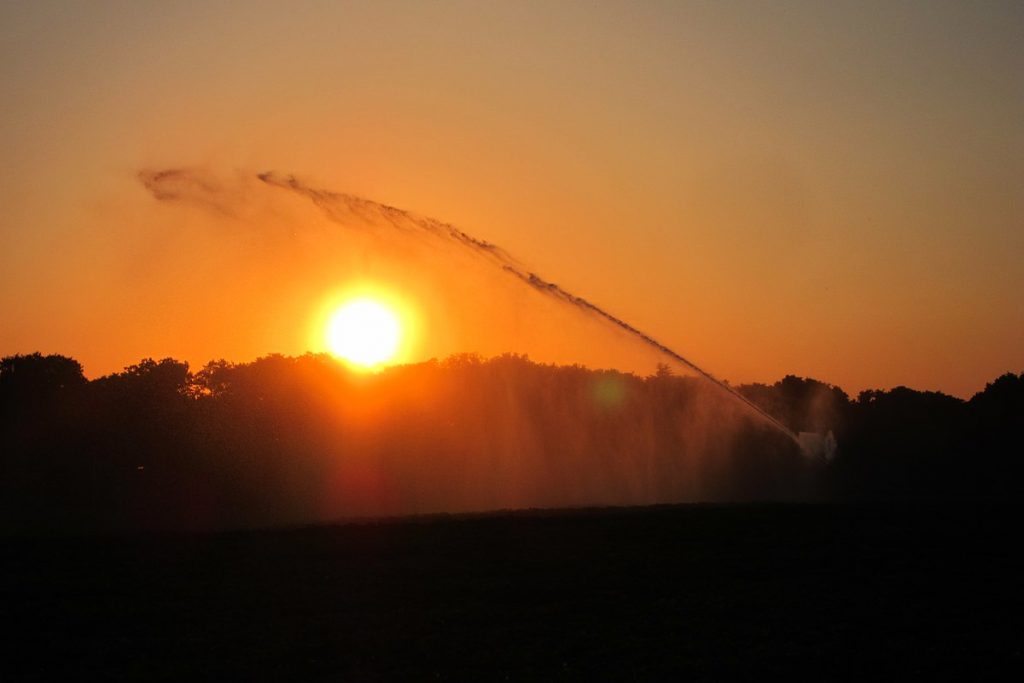 Canicula vine peste România. Vremea se va încălzi la limita suportabilității