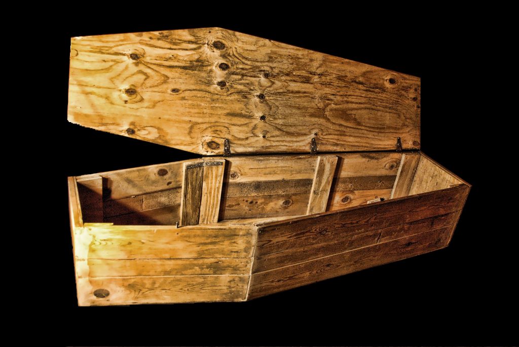 Un sicriu a fost adus la Primăria Sectorului 1. Mesaj pentru Clotilde Armand