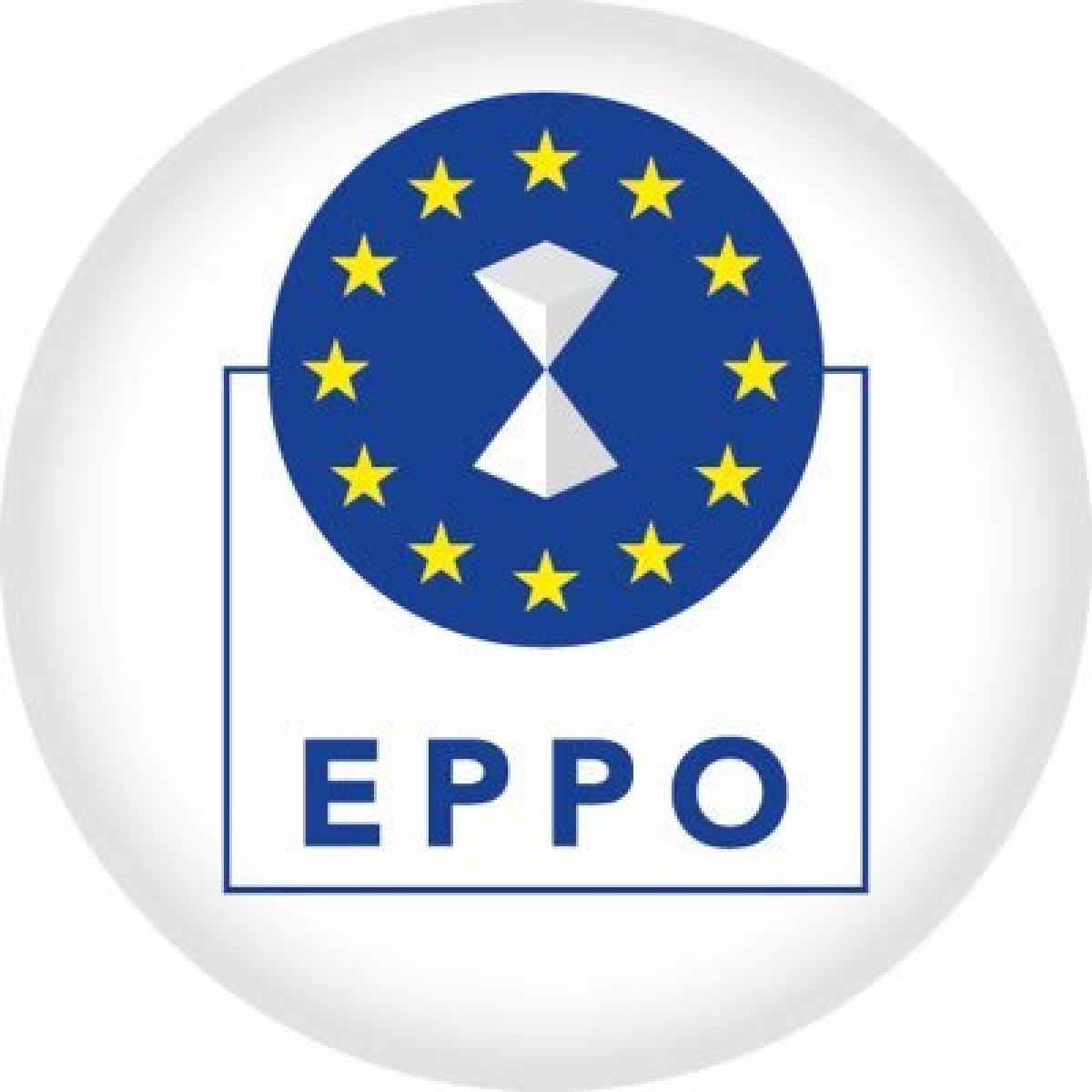 Percheziții EPPO la prefectul de Timiș, într-un dosar de fraudă cu fonduri europene