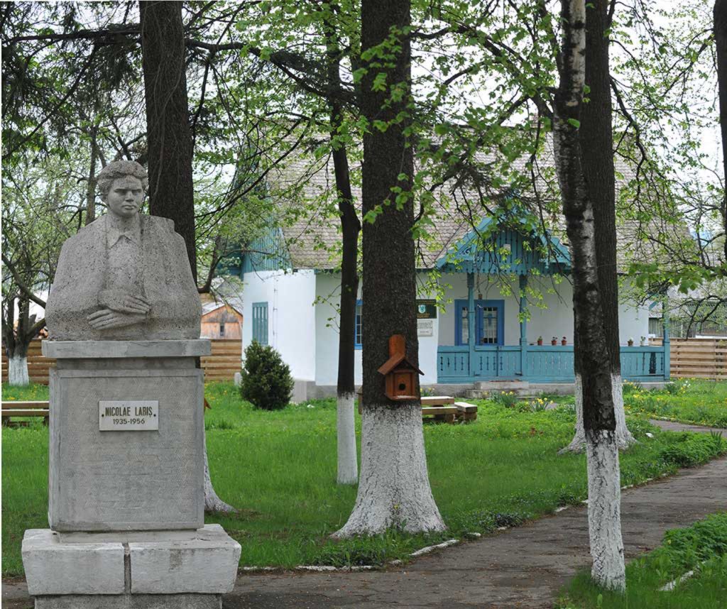 Moartea unui poet. Semnul misterios care a prevestit dispariția bizară a lui Nicolae Labiș