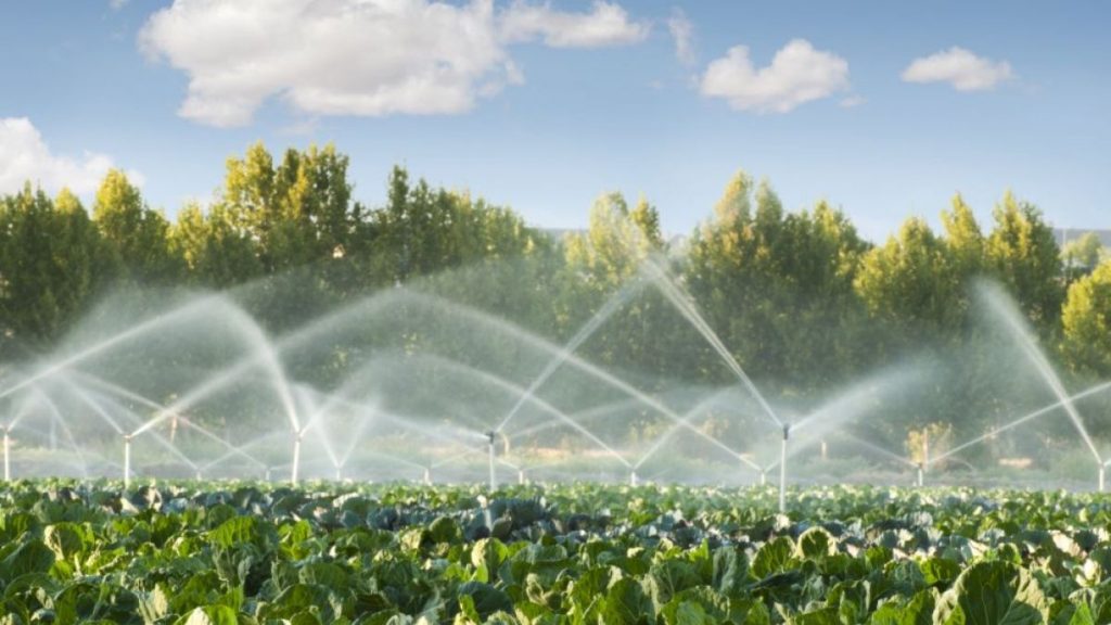 Localnicii unei comune din Gorj îndemnați să se toarne între ei. Metoda găsită de primar pentru a stopa furtul de apă