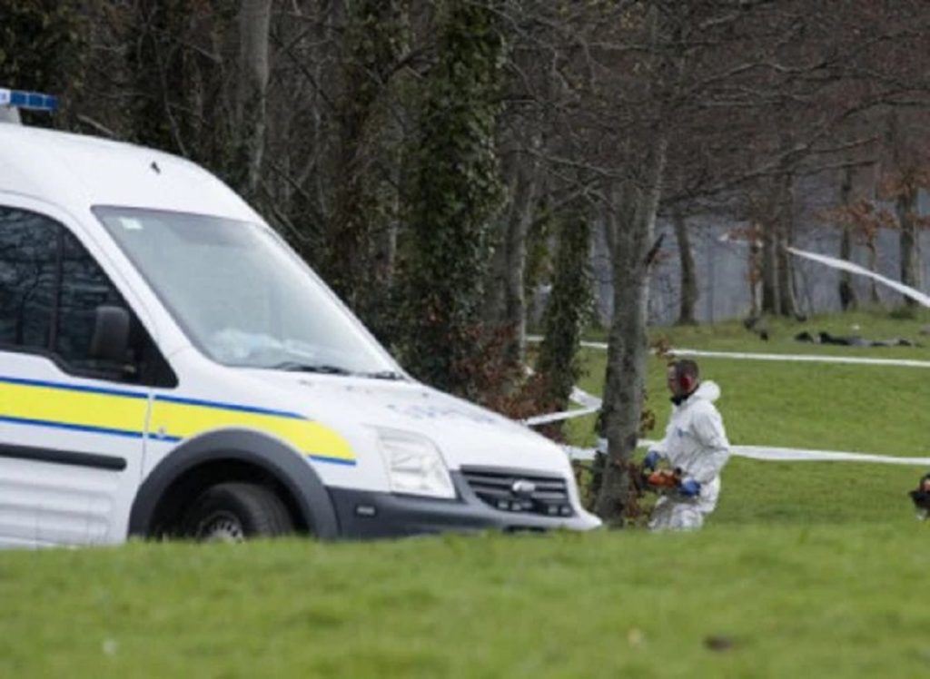 Detalii cutremurătoare despre muncitorul român ucis în bătaie în Irlanda. S-a ghemuit la pământ, dar a fost lovit cu picioarele până și-a dat sufletul