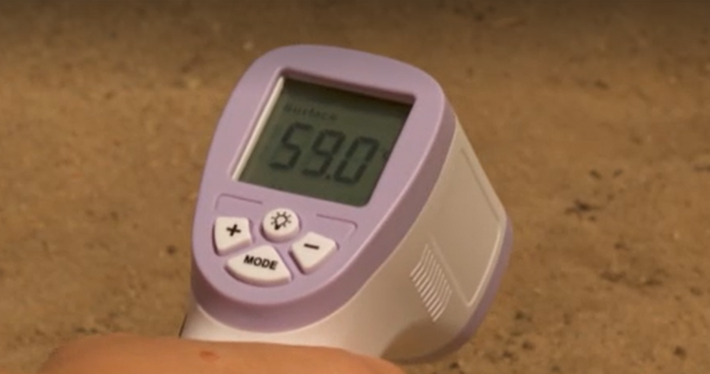 Aproape 60 de grade în ”Sahara României”. Localnicii au luat măsuri disperate să-și salveze animalele