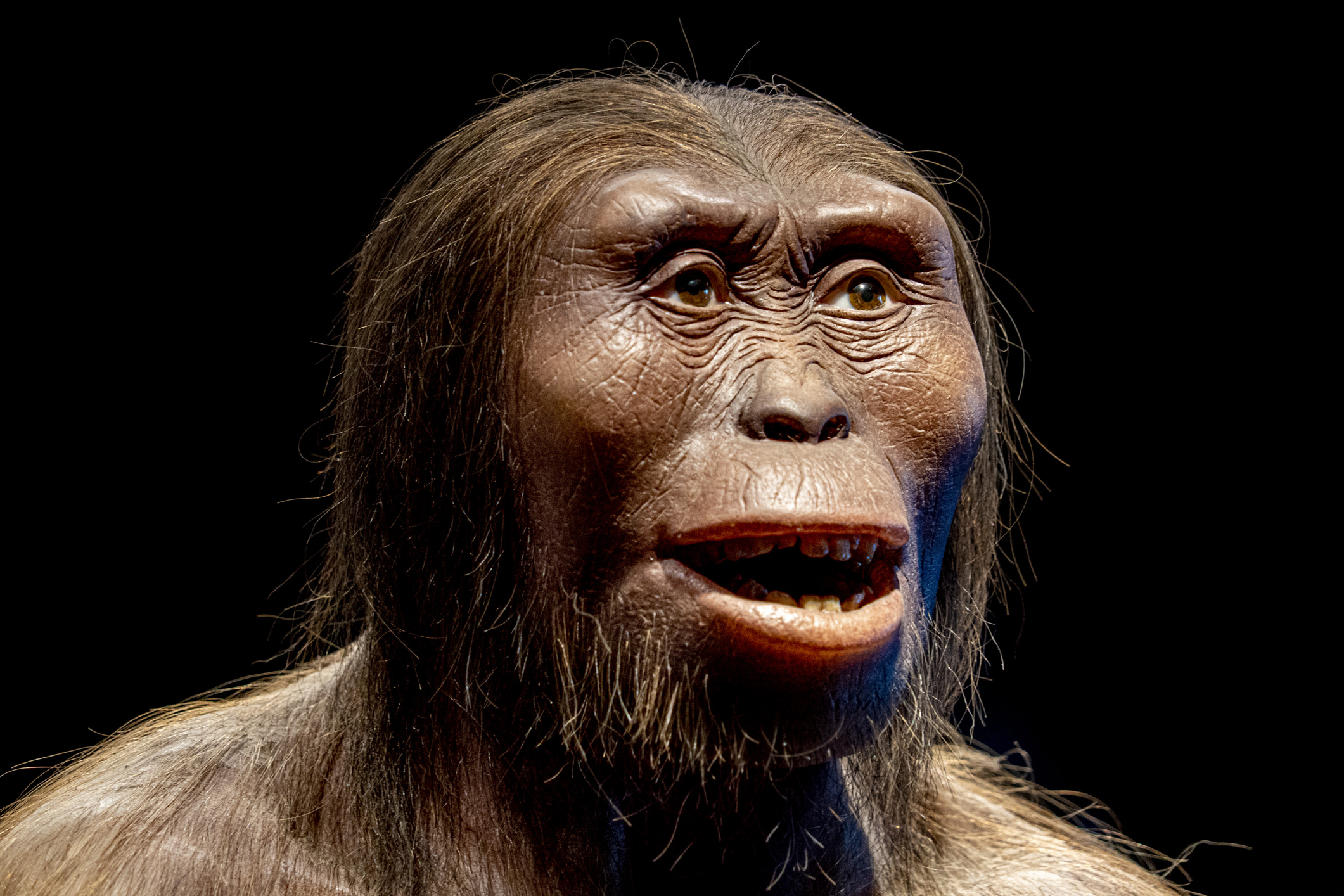 Neanderthal