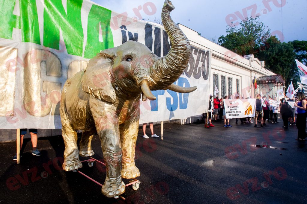 Cât va fi nota de plată pentru Roșia Montană? „Foarte mulți tineri s-au lăsat sponsorizați de Soros". VIDEO