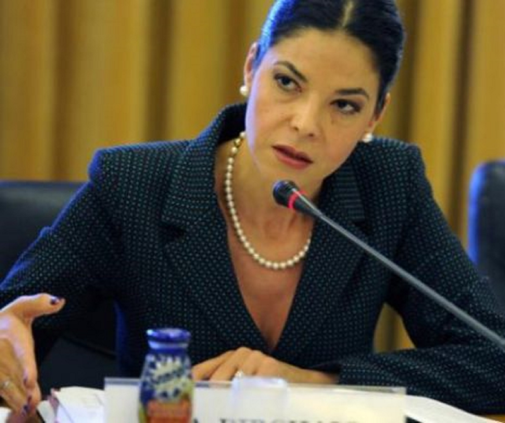 Ana Birchall susține că amendamentul PSD pentru pensii ar fi fost admis