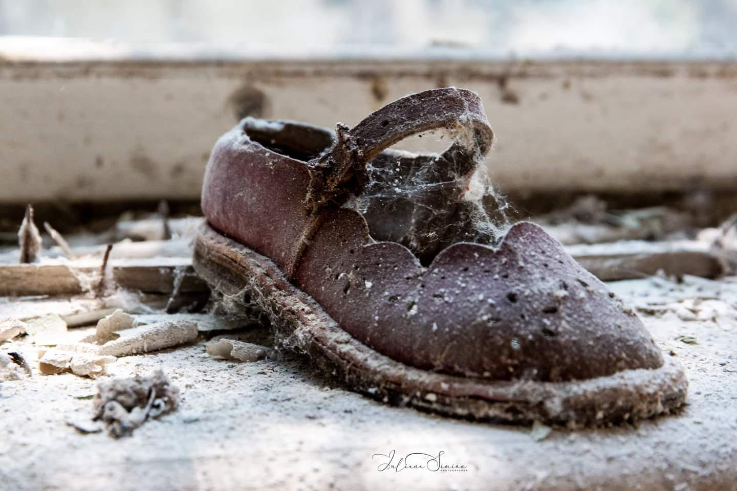 Ciupercă misterioasă descoperită în zona Cernobîl. Radiațiile sunt sursă de energie