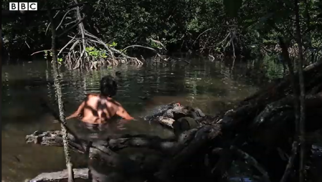 Pădurea sacră în care doar femeile pot intra. Localnicele au acceptat să discute cu BBC, dar au cerut să nu existe niciun bărbat în echipa de filmare