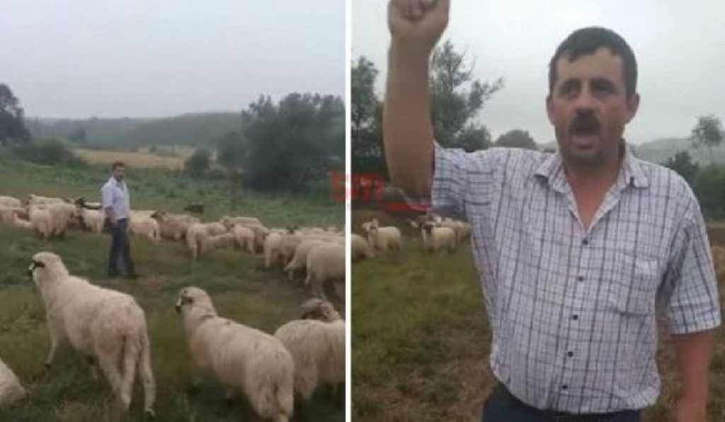 Fermierii au ajuns în pragul disperării după ce au rămas fără subvenții. Un crescător de animale amenință. VIDEO