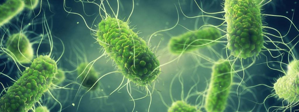 Alertă de salmonella în România. 20 de tone de carne de pui au fost retrase în ultimele zile