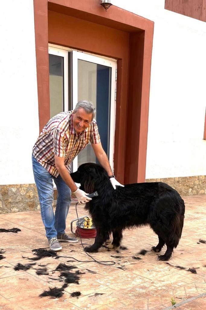 Viața de ex-ministru al Internelor. Marcel Vela nu taie frunza la câini. Le taie blana!