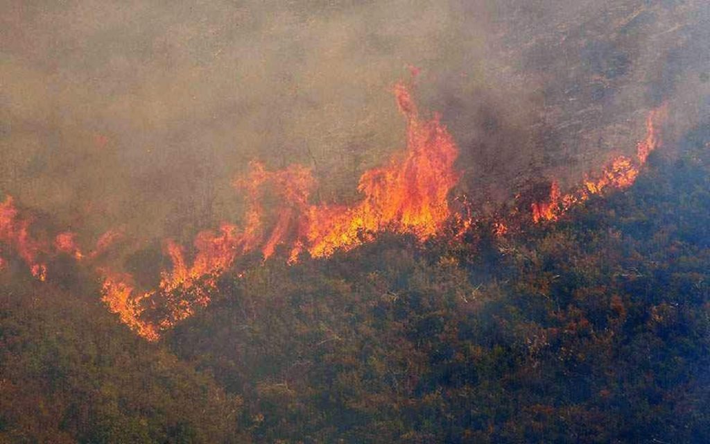Incendiile din Grecia strică vacanța turiștilor. Datele se schimbă din rău în mai rău