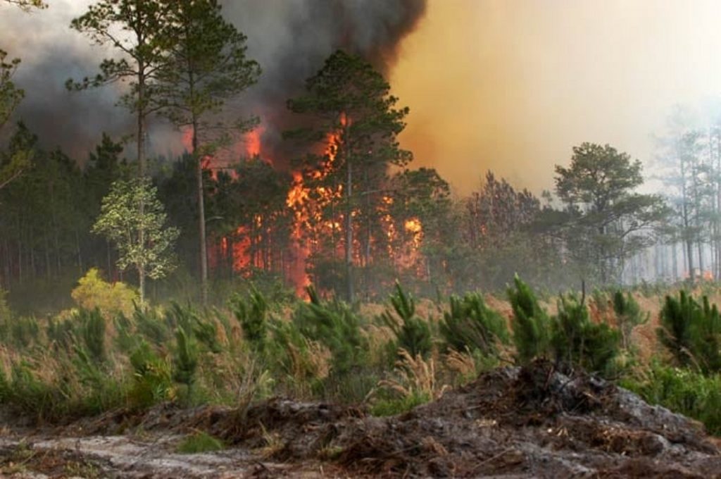 Situația în Grecia, 27 iulie. Fenomene meteo extreme, recomandări pentru turiștii români