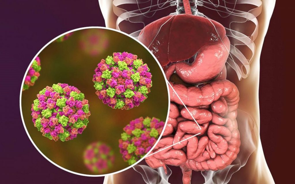 Ne paște o nouă „epidemie imprevizibilă”? Savanții avertizează că norovirusul s-ar putea răspâmdi în combinație cu SARS-Cov-2!