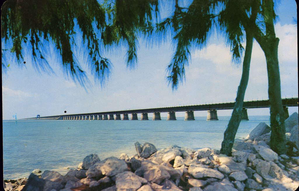 Prima femeie ucisă de rechini lângă plajele Egiptului de la Marea Roșie a fost o româncă. UPDATE