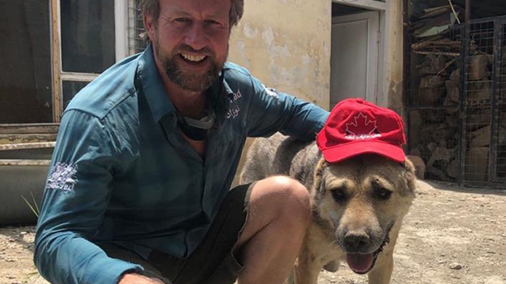 El este eroul animalelor. Un fost membru al Royal Marine a salvat sute de câini și pisici din Kabul. I-a dus acasă cu un avion privat
