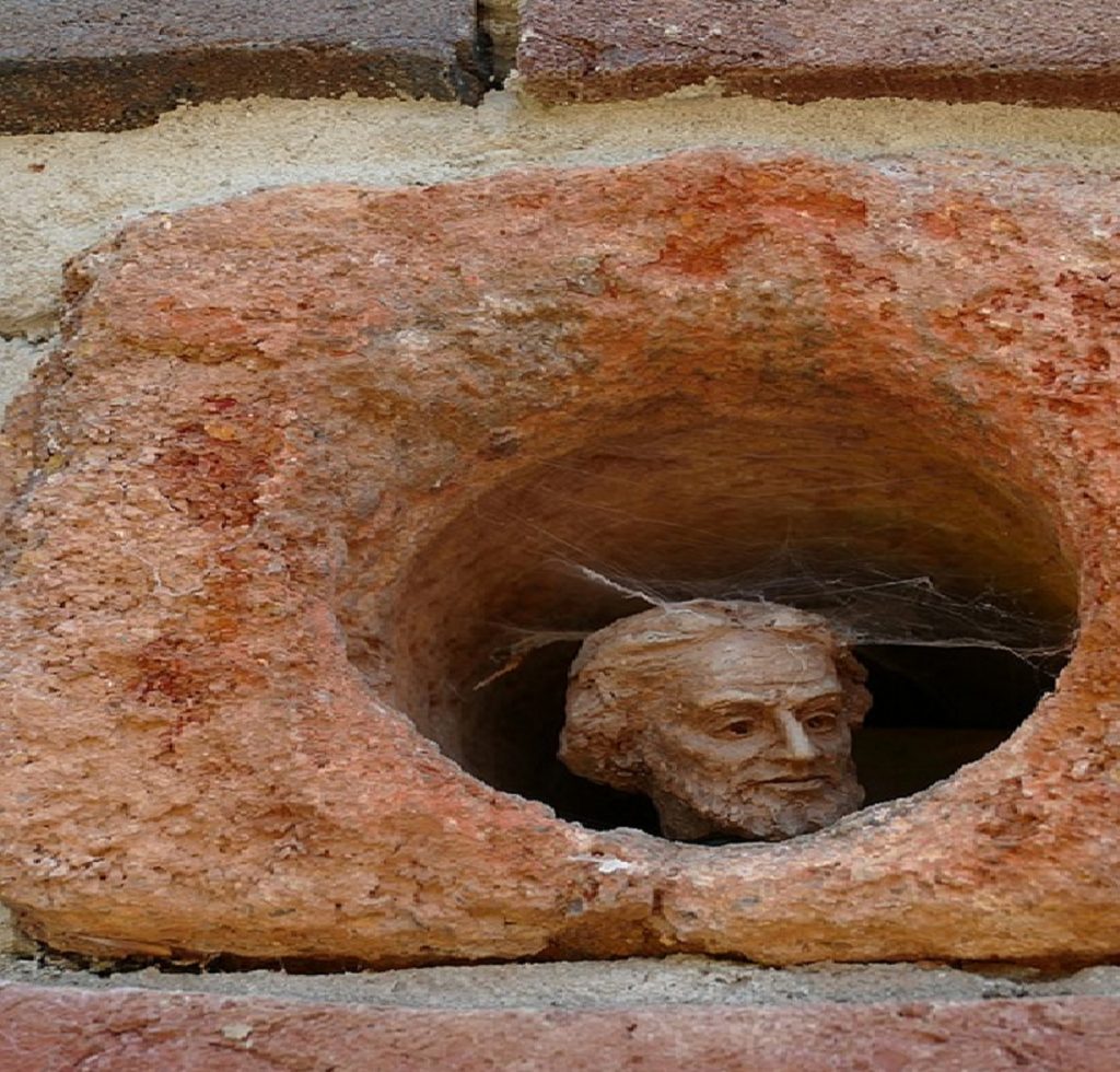 Atenție la păianjeni! În septembrie începe invazia. Sfaturi pentru a-i ține departe de locuința ta