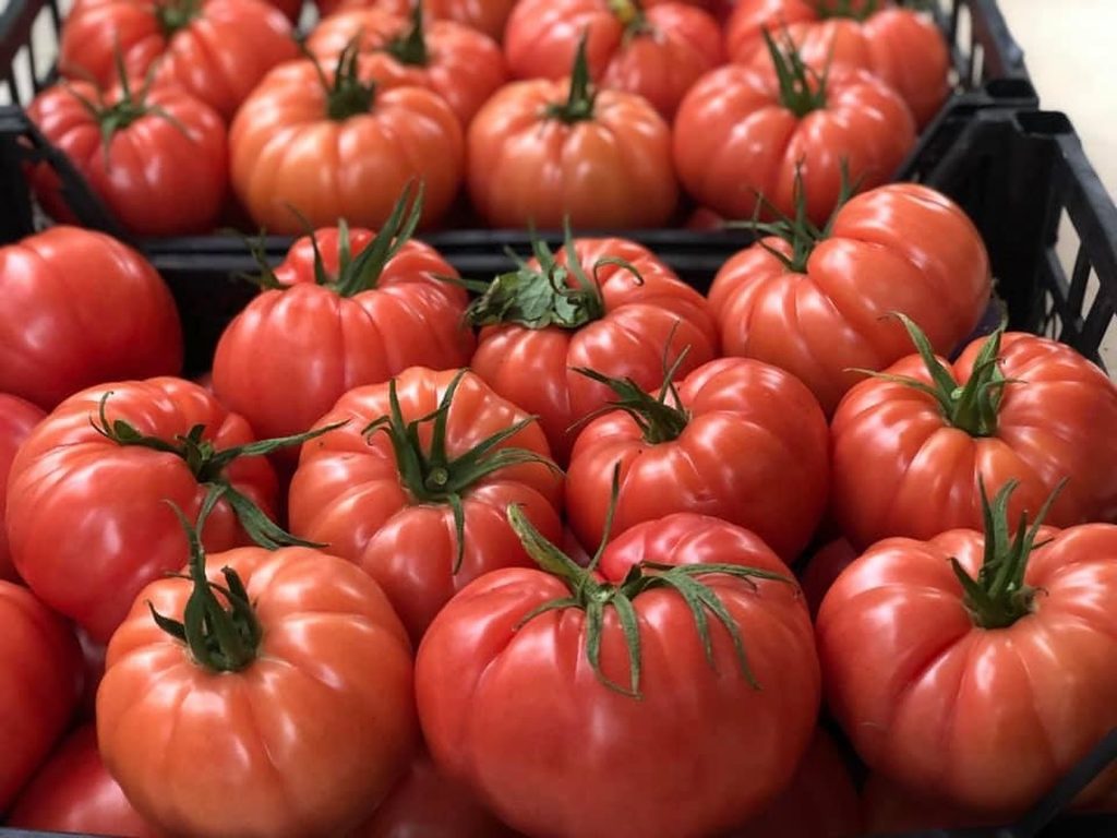 Vestea mult așteptată de fermierii români: Ce pregătește Ministerul Agriculturii pentru a-i salva din criză