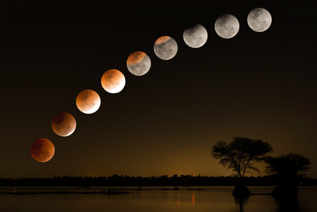 HOROSCOPUL LUI DOM’ PROFESOR, 19 noiembrie 2021. Senatorul de drept. Nu vă fie frică, eclipsa nu vă strică!