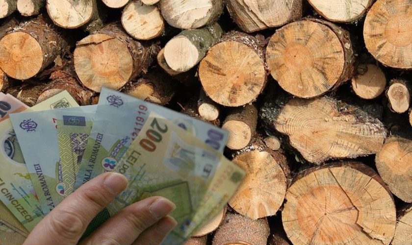 Românii sunt lăsați în frig de sărbători! Ministerul Muncii se scuză