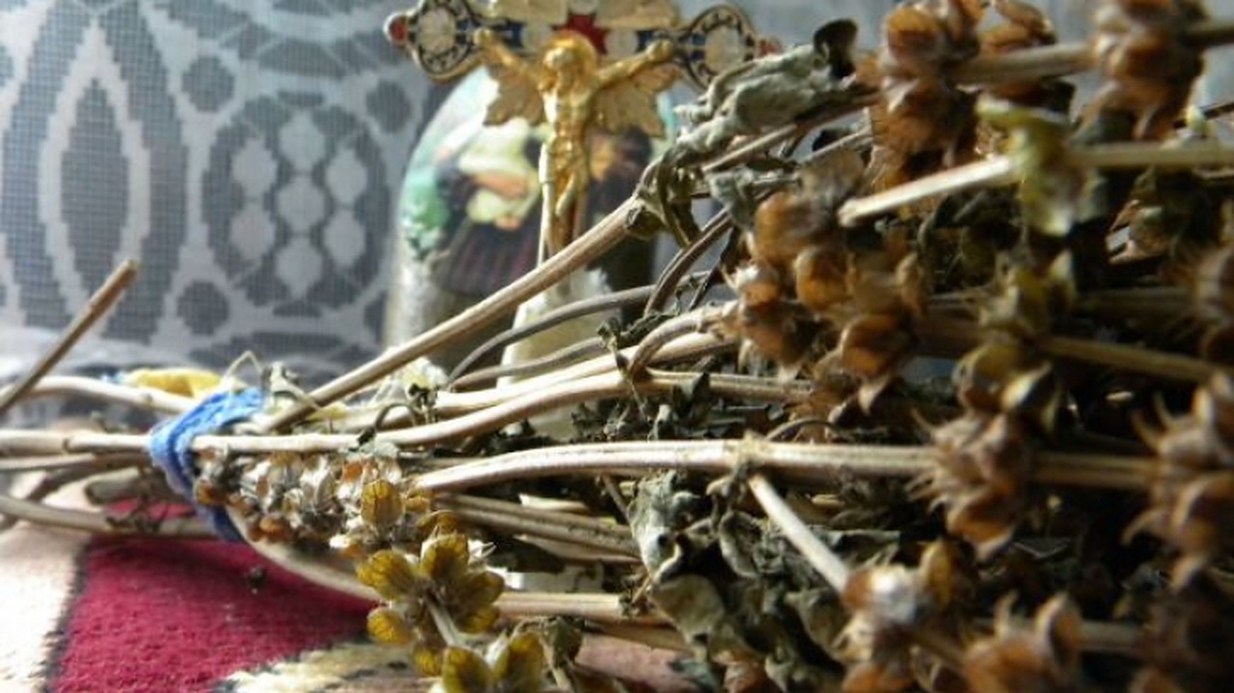 Busuiocul, planta magică în tradiția românească. De ce se pune sub pernă de Bobotează