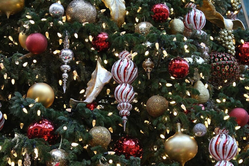 Brazii de Crăciun vor fi mai săraci. Sărbătorile de iarnă nu vor mai fi ce-au fost