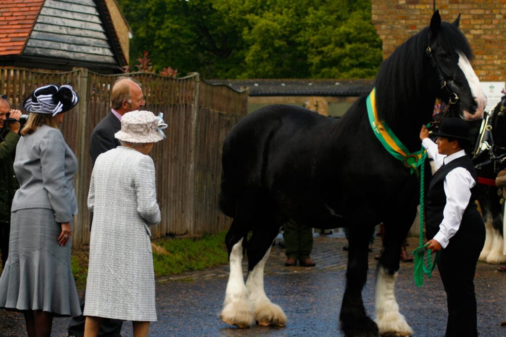 Regina Elisabeta a II-a a fost umilită crunt din cauza unui cal. Un lider mondial a înjosit-o cu o glumă grobiană